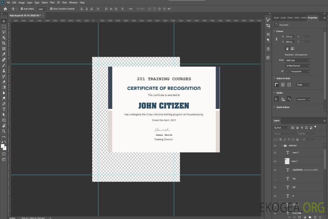 Certificat de cours de formation aux États-Unis template